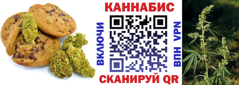 Купить где  Аргун  Cannafood конопля 