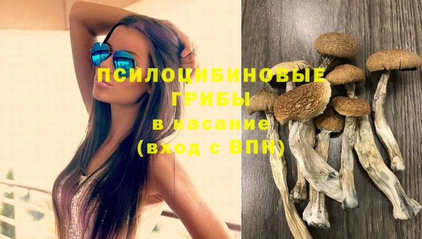 сатива Богородицк