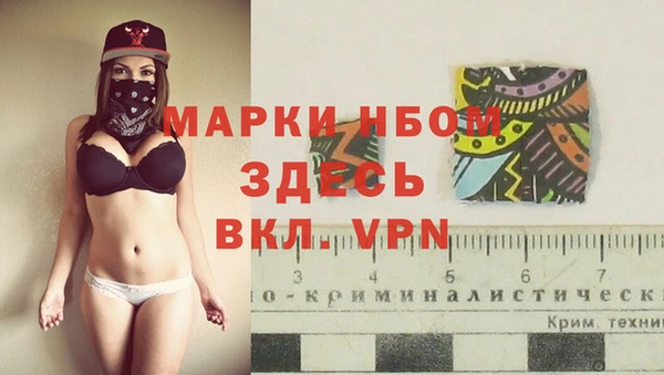 сатива Богородицк