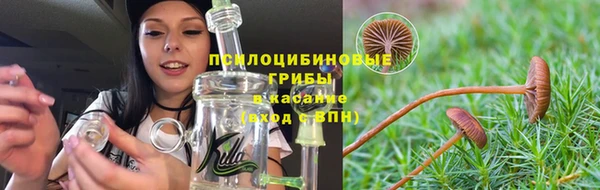 а пвп мука Белокуриха