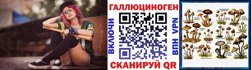 Псилоцибиновые грибы Psilocybe  Купить закладки  Аргун 