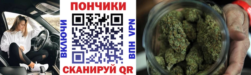 Бошки марихуана Amnesia Купить Аргун